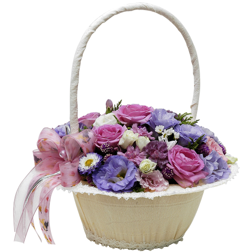 �����罺�ٱ���